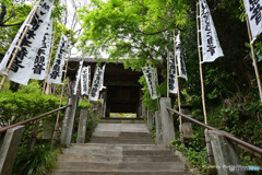 杉本寺にて