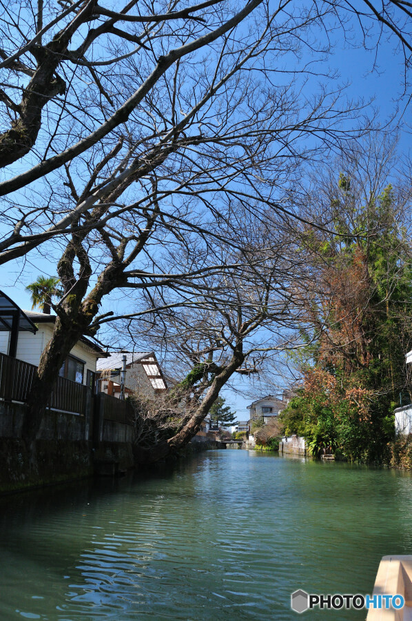 柳川川下り