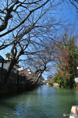 柳川川下り