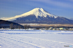 20080126_DSC7212_01