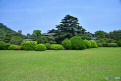 栗林公園にて
