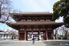 池上本門寺 仁王門