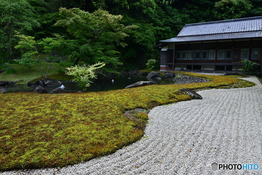 鎌倉 円覚寺にて