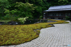 鎌倉 円覚寺にて