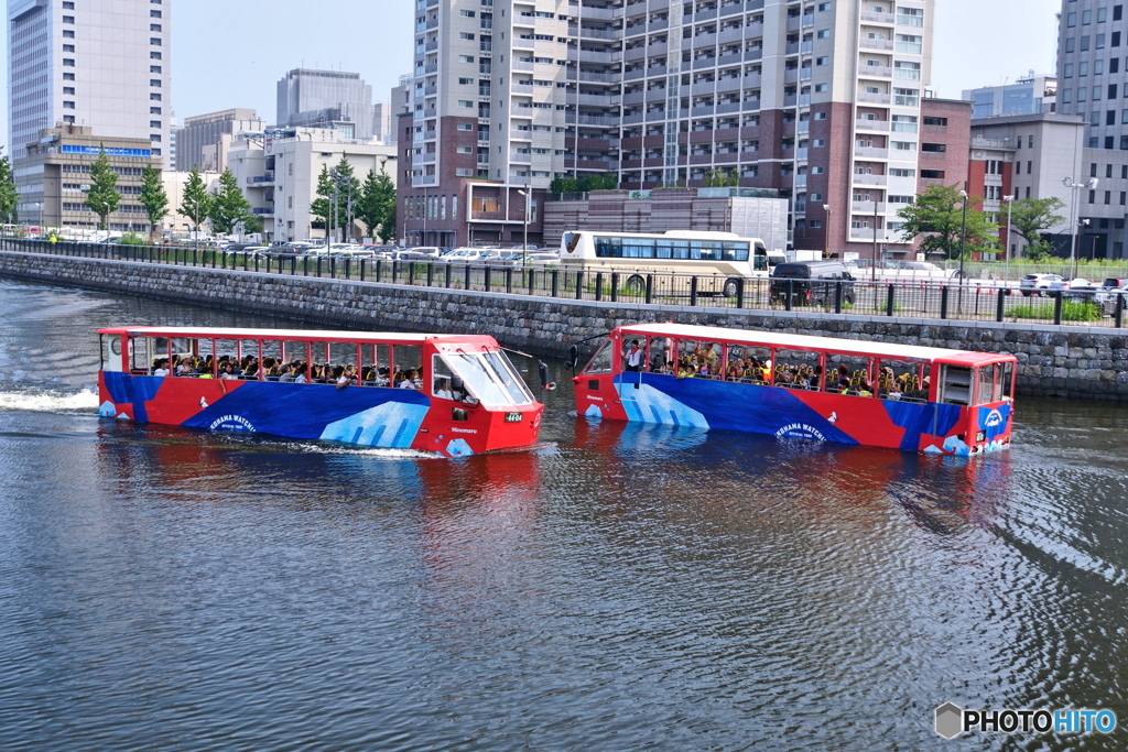 スカイダック