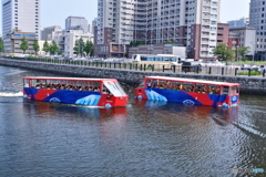 スカイダック
