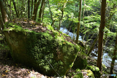 苔むす渓流
