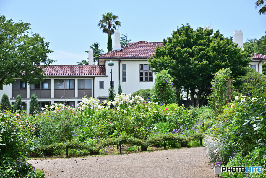 港の見える丘公園にて