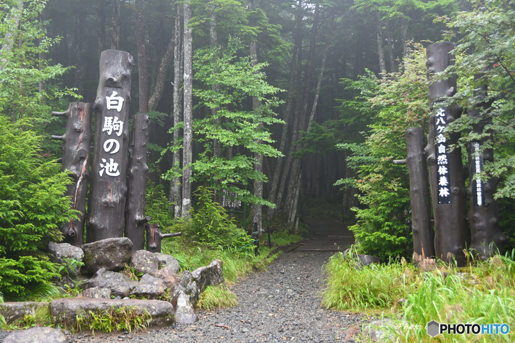 白駒池への入り口