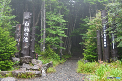 白駒池への入り口