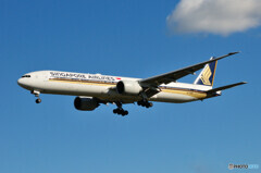 Singapore Airlines
