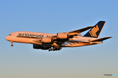 Singapore Airlines