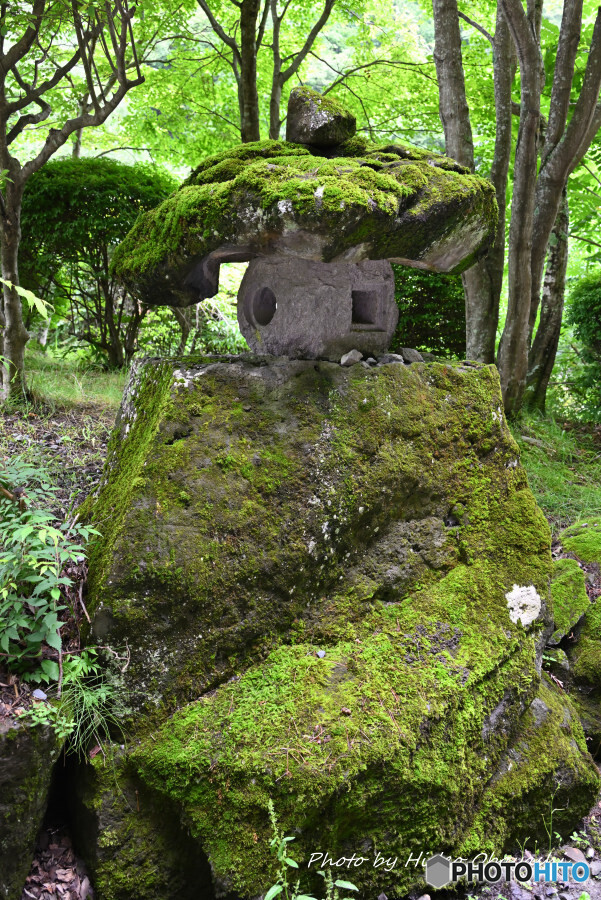 苔むす灯籠