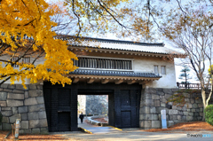 秋の大阪城にて
