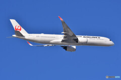 Japan Airlines