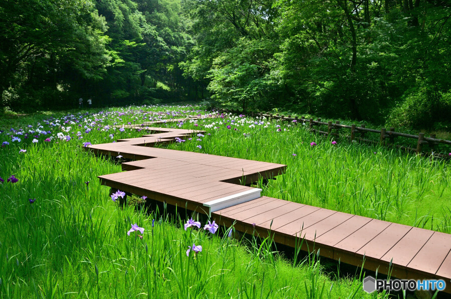 四季の森公園にて