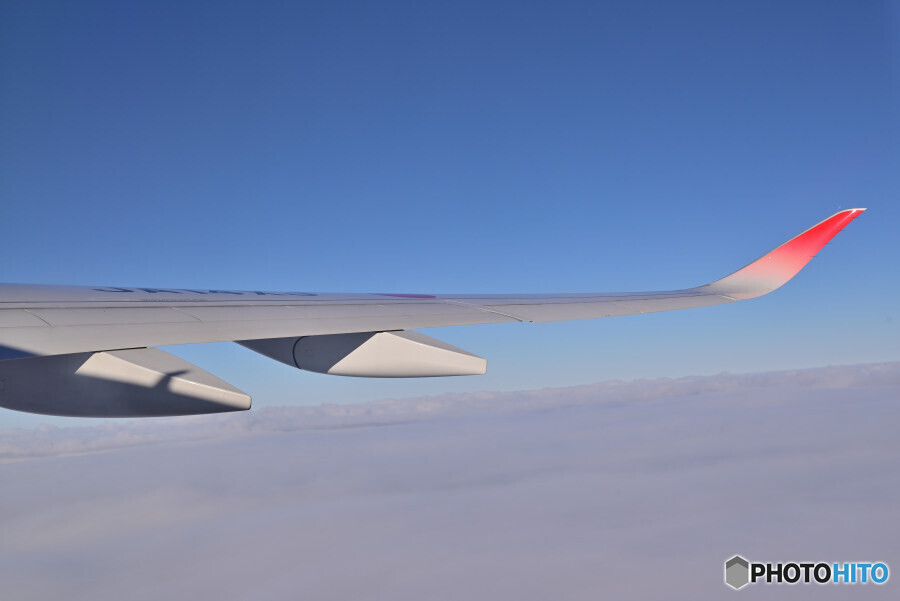 機窓からの眺め