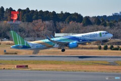 Bamboo Airways