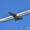 China Southern Airlines