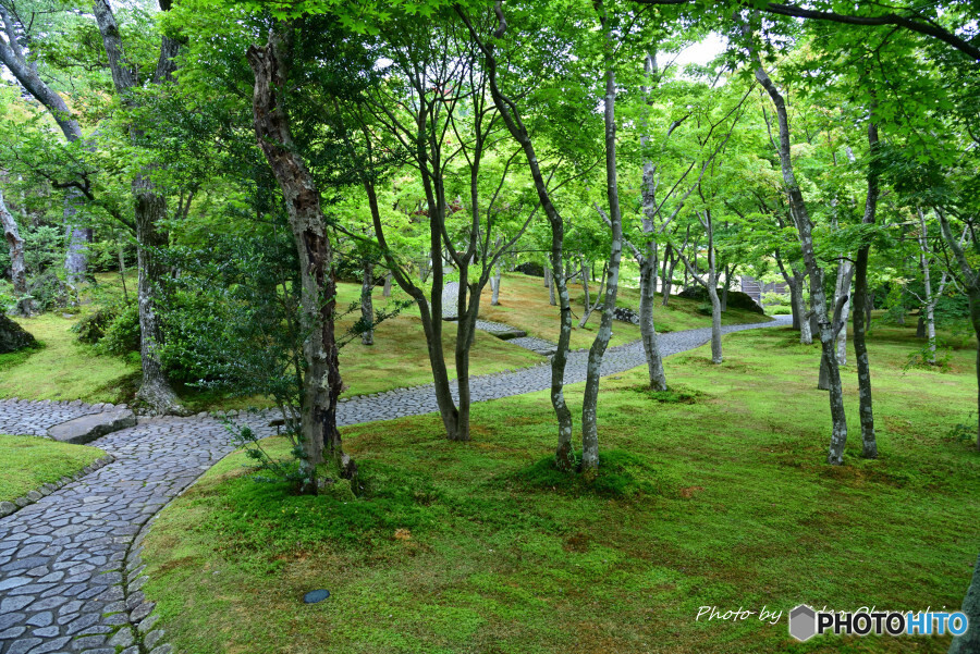 箱根美術館苔庭