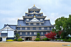 秋色岡山城
