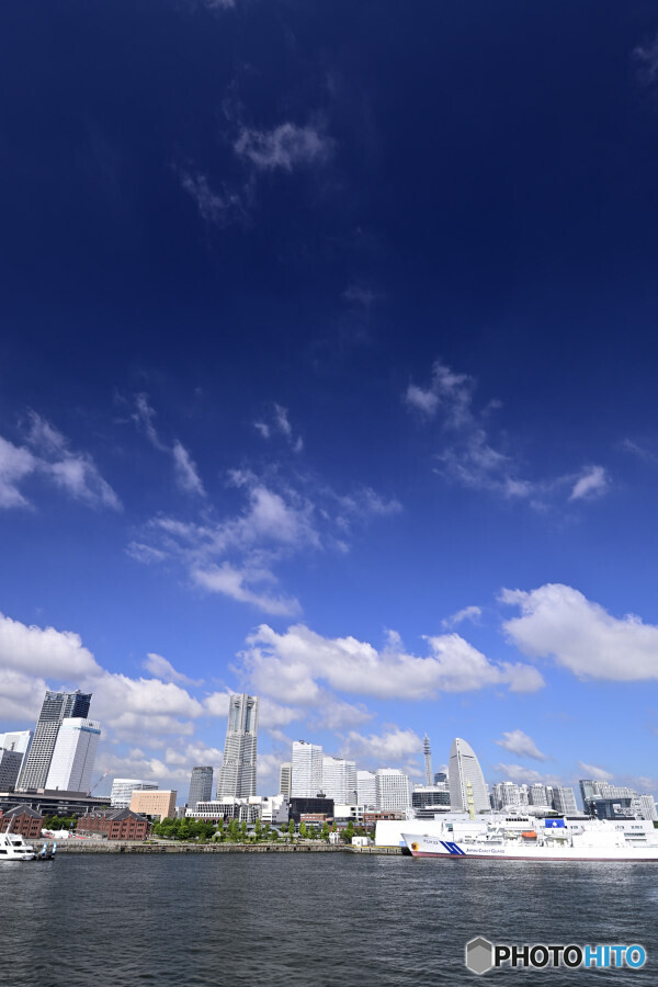 大さん橋くじらのせなかにて