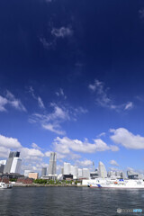 大さん橋くじらのせなかにて