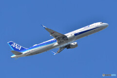 All Nippon Airways