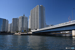 シーバスからの眺め