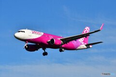Peach Aviation