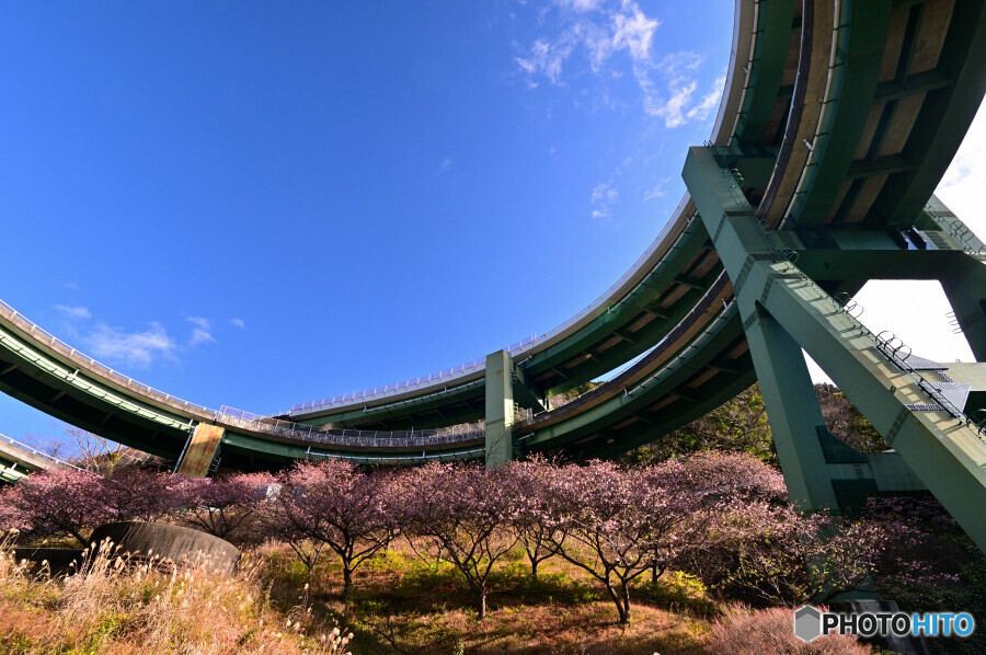 河津七滝ループ橋