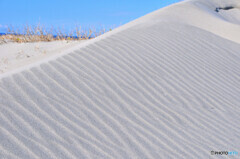 マリンパーク御前崎