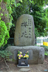 人間爆弾桜花の碑