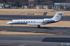 Deer Jet