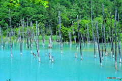 青い池