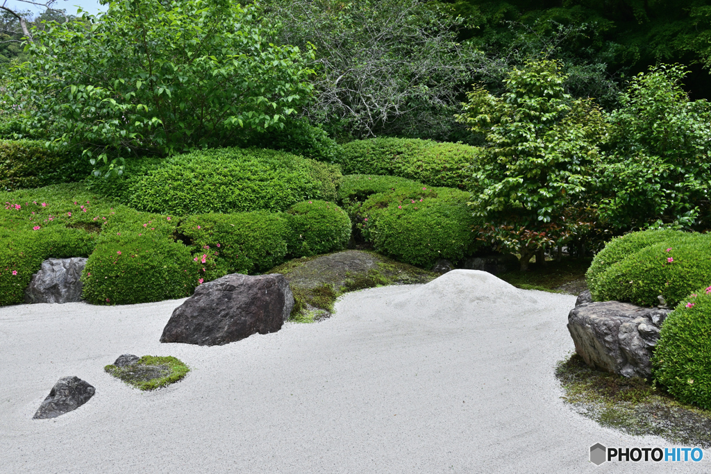 鎌倉明月院にて