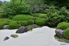 鎌倉明月院にて