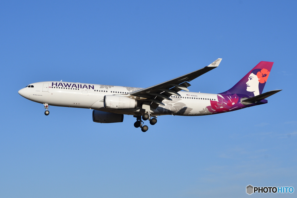 Hawaiian Airlines