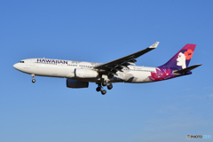 Hawaiian Airlines