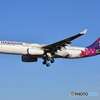 Hawaiian Airlines