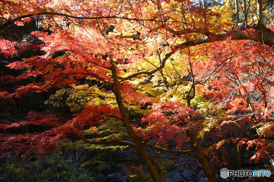 昇仙峡の紅葉