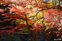 昇仙峡の紅葉