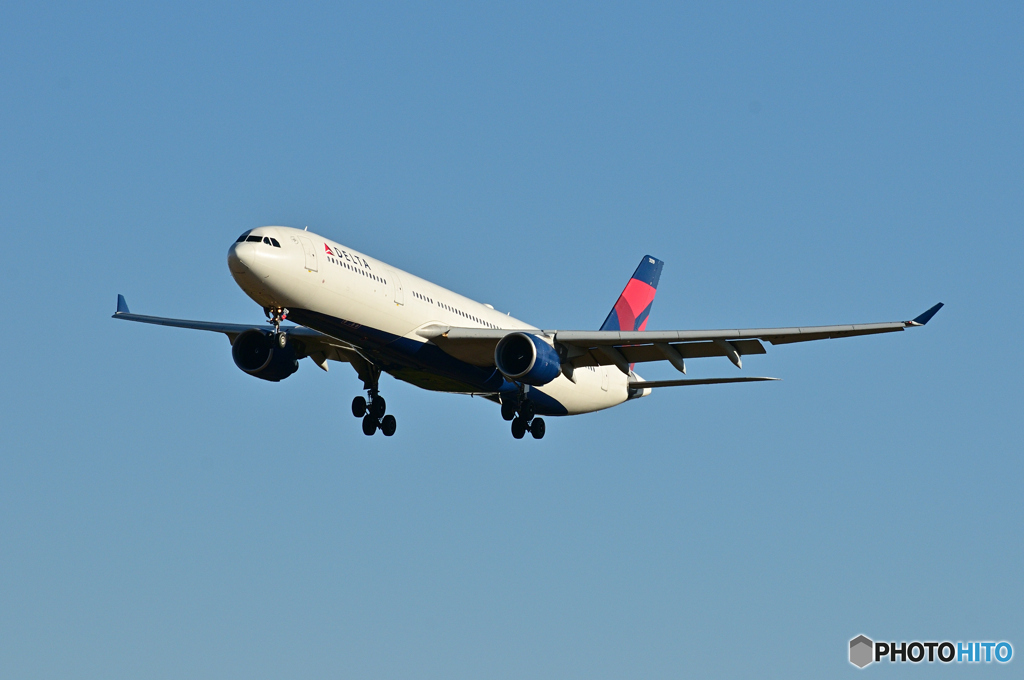 DELTA AIR LINES