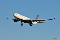 DELTA AIR LINES
