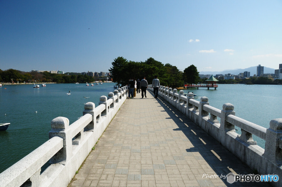 大濠公園にて