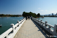 大濠公園にて