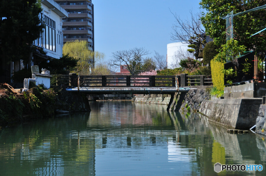 柳川川下り