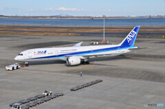 All Nippon Airways