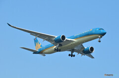 Vietnam Airlines
