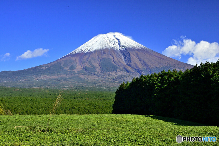 羊と富士山